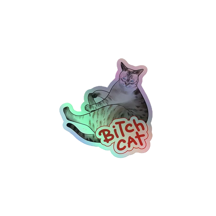 Special Edition Holographic Bitch Cat product image (1)