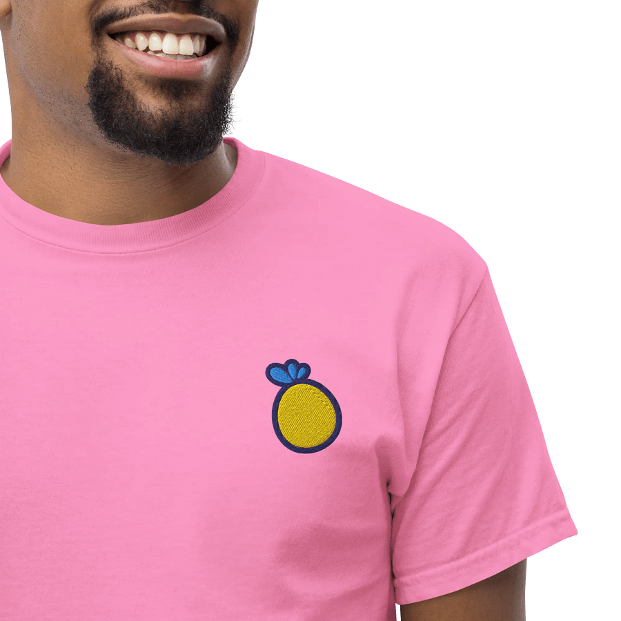Dummy Pineapple Embroidered Tee product image (24)