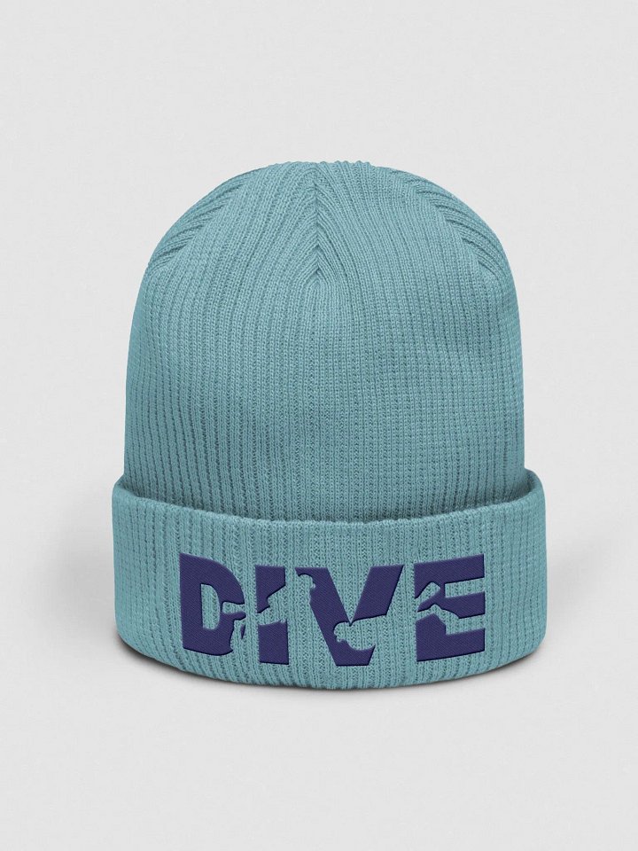DIVE- Embroidered Light Blue Beanie product image (1)