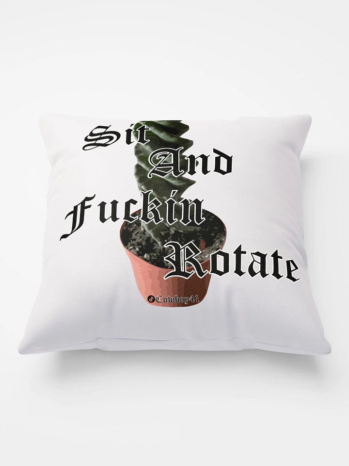 Sit and Rotate Pillow product image (1)