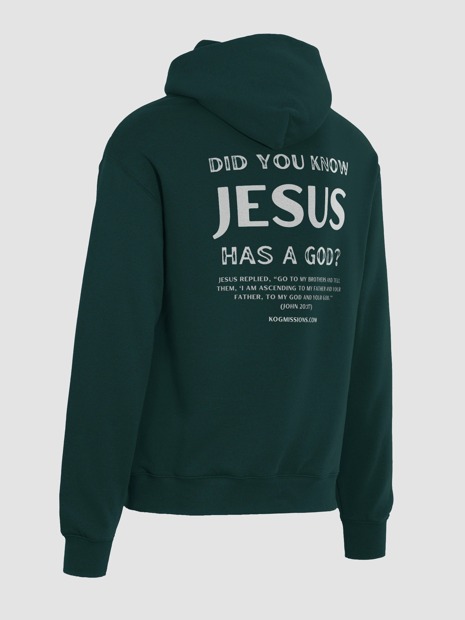 Jesus Has a God Premium Oversized Hoodie product image (16)