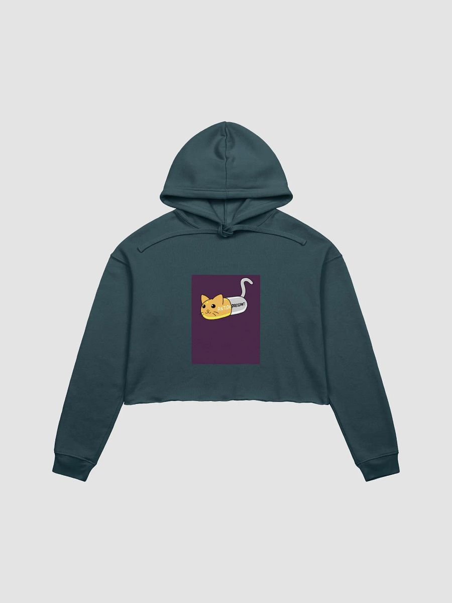 Funny Antidepressant Cat Capsule Hoodie product image (1)