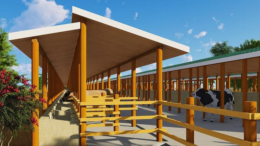 200 Dairy Cows Design Plan product image (3)