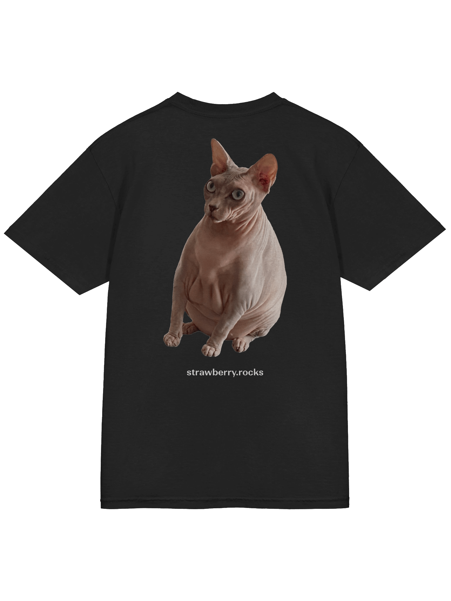 Thiago's cat judging your code product image (4)