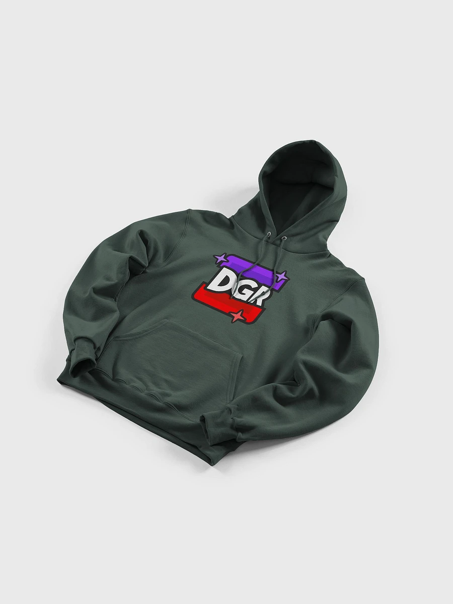 Rare DGR Logo Hoodie - Heather Forest product image (2)