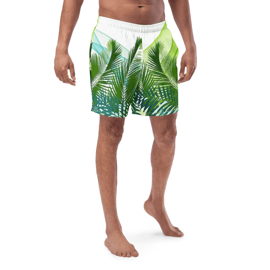 Men's shorts product image (4)
