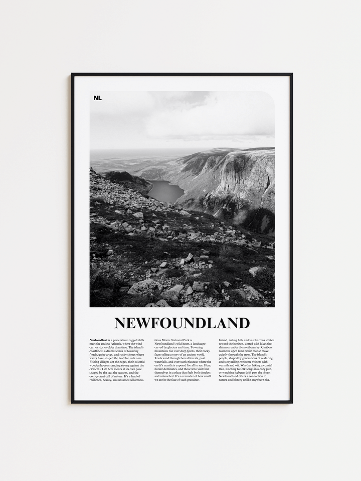 Newfoundland 02 Newspaper Poster product image (1)