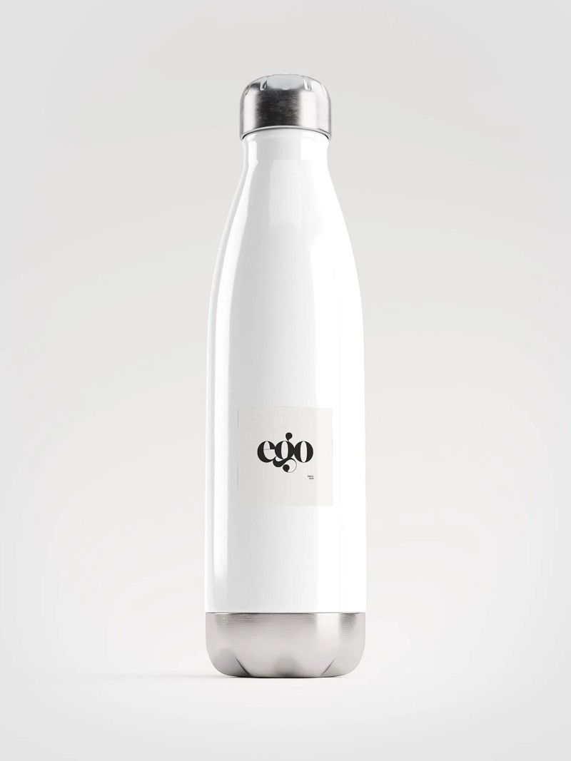 stainless steel water bottle