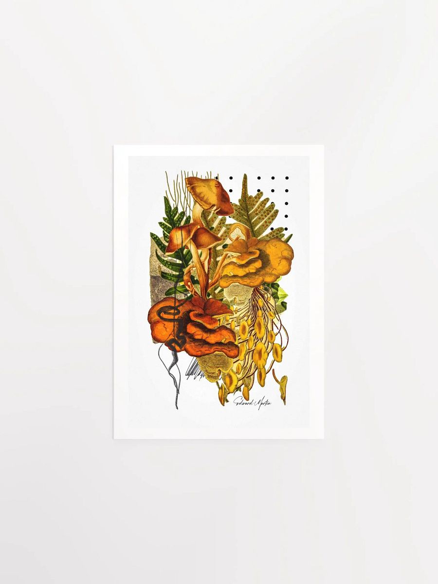 Woodland Collage Print by Edward Martin-Enchanted Foliage: Mushroom Collage Poster product image (2)