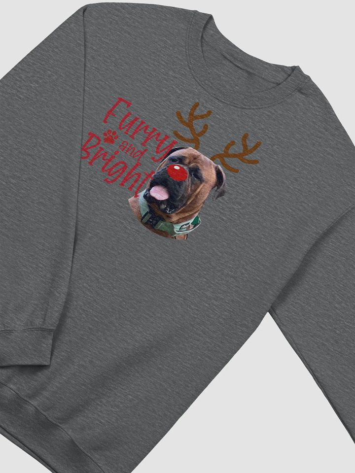 Furry and Bright Crewneck product image (1)