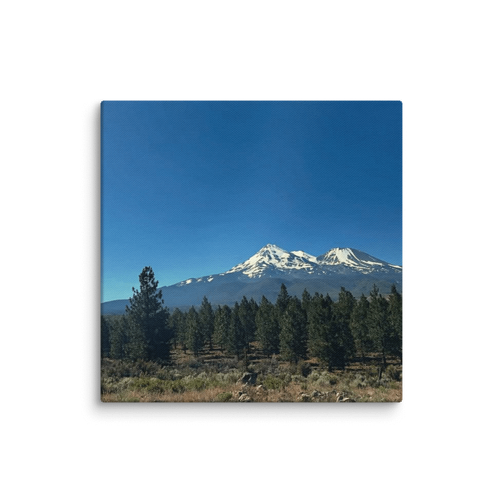 Shasta product image (39)