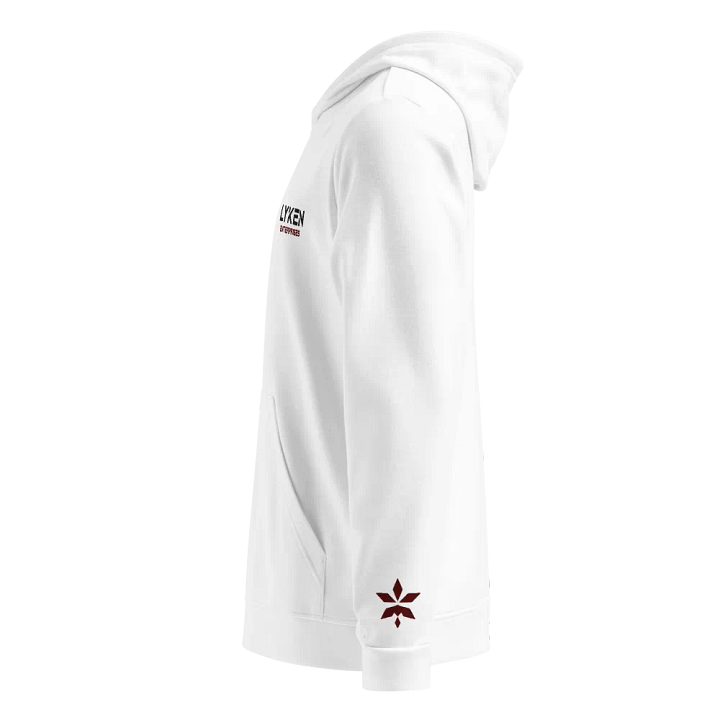 CEO Hoodie product image (2)