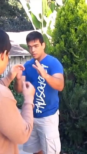 Seagal training Machida Bros #ufc #mma #bullshido #aikido