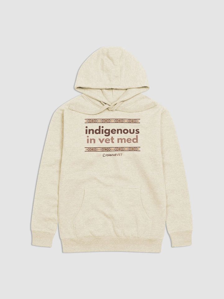 Indigenous in Vet Med Hoodie product image (1)