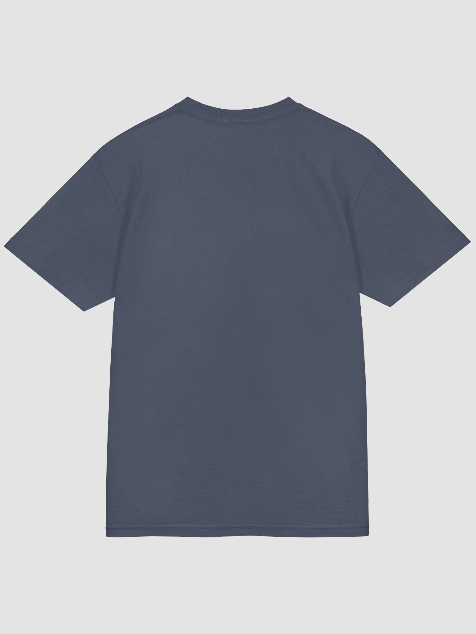 American Privilege American Excellence T-Shirt product image (31)
