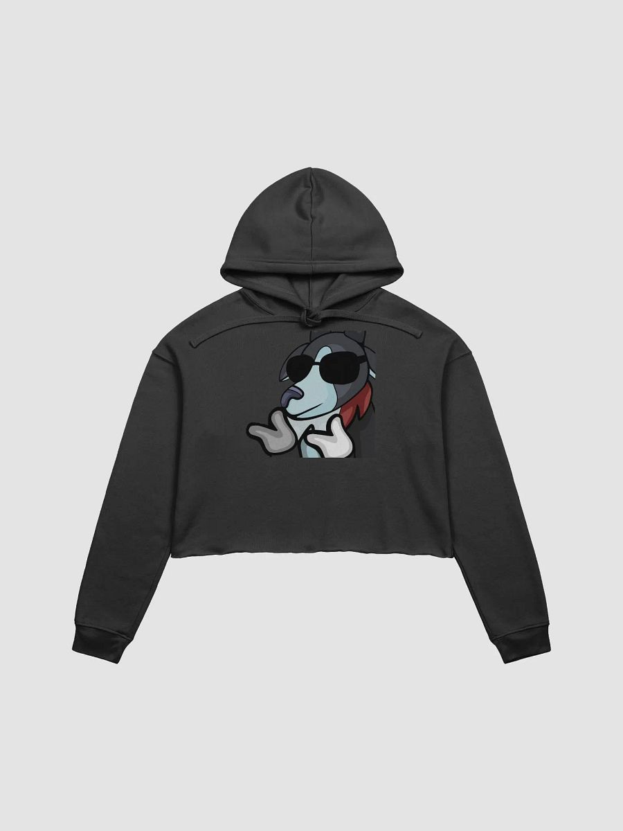 Cool Cropped Hoodie product image (2)