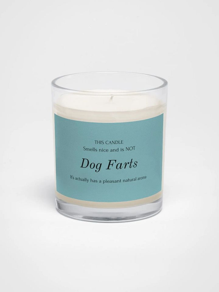 Veterinary humor candle "Dog farts" product image (1)