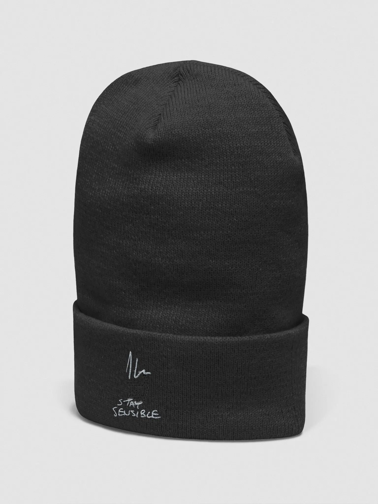 Jon Hare Stay Sensible Beanie product image (2)