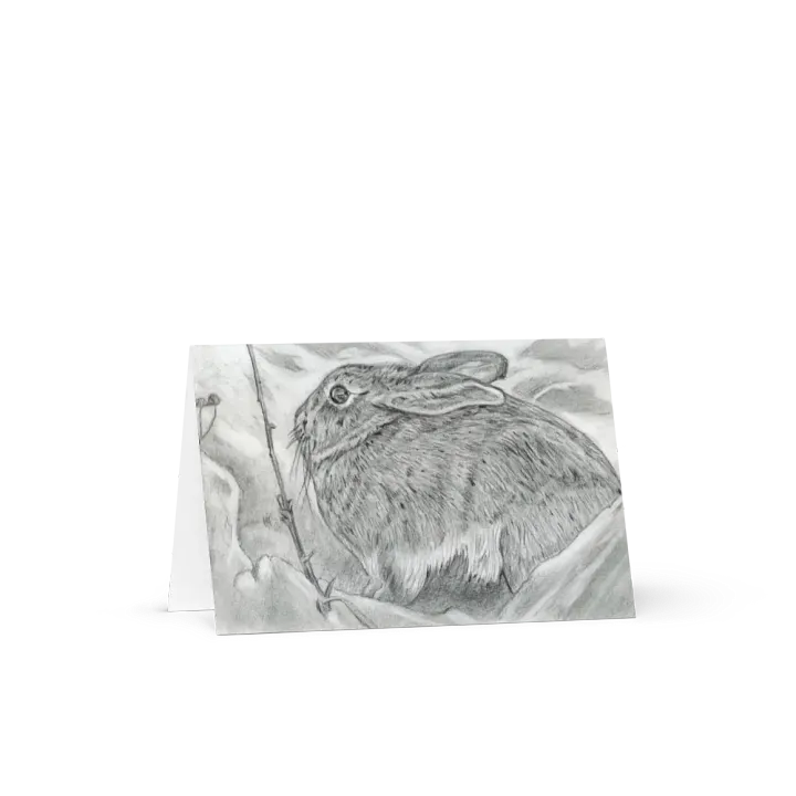 Greetings Card - Cottontail Rabbit product image (1)