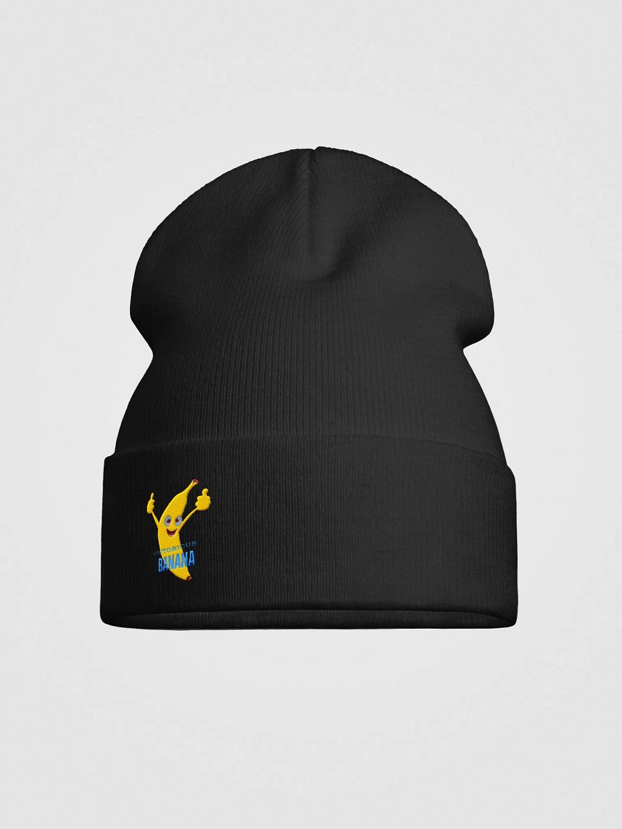 Beanie 1 product image (1)