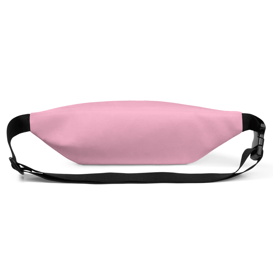 PinkPlasticPerfect Fanny pack bag product image (3)