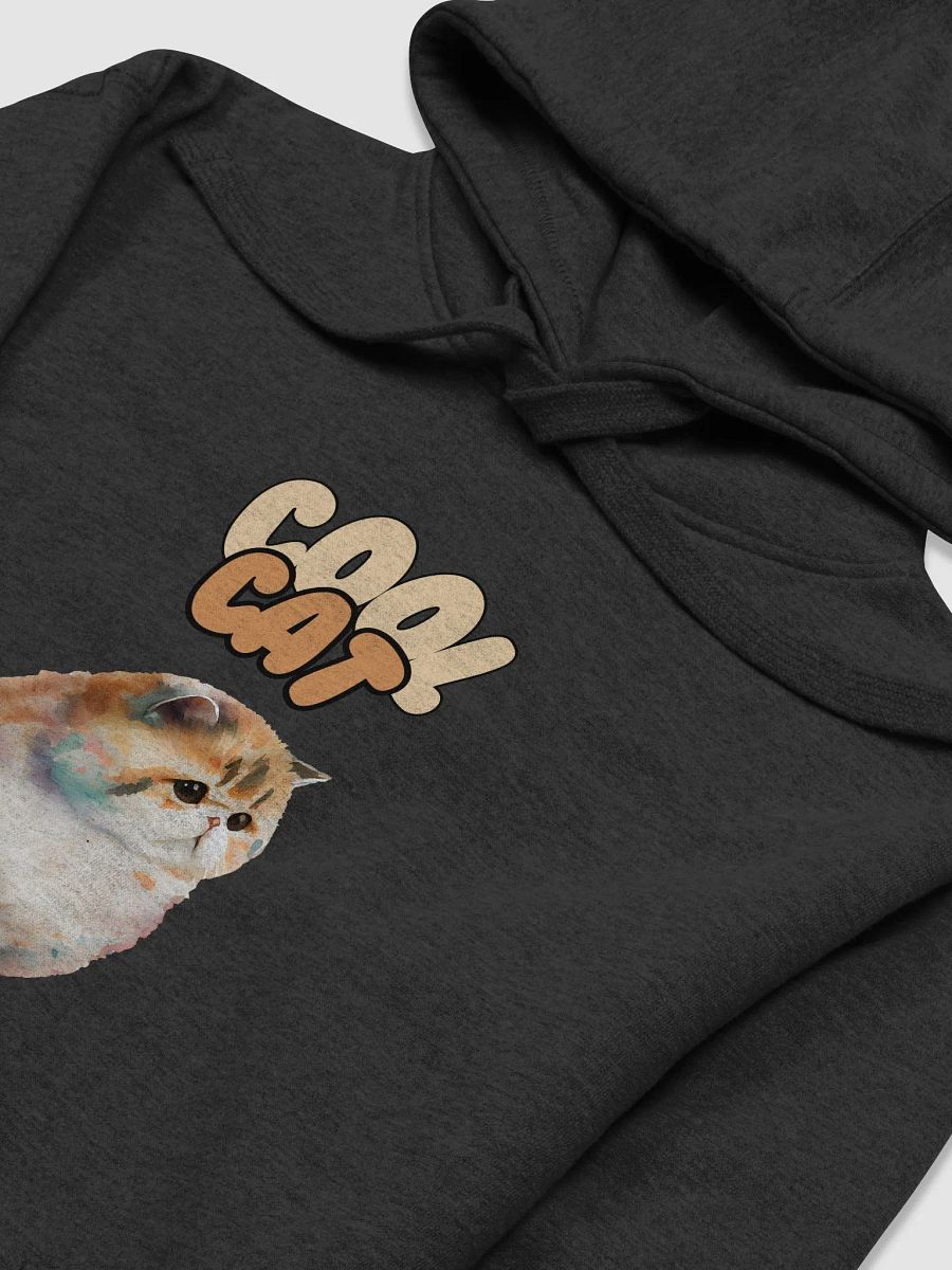 BBB Cool Cat Illustrated Premium Hoodie product image (22)