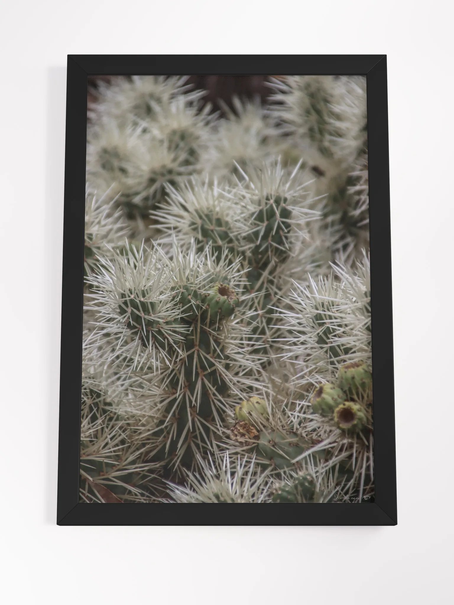 🌵 Fine Art – Underneath the Armor product image (8)