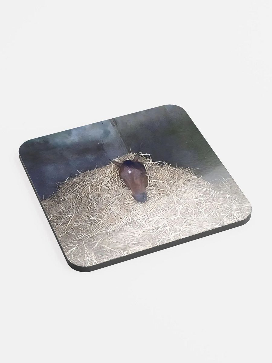 HERC Horse Coaster product image (2)