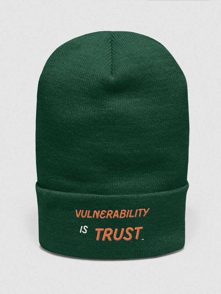 Vulnerability Skullee product image (3)