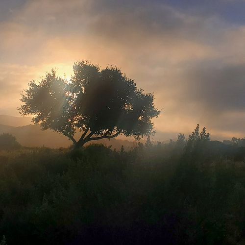 Brisk morning view... 
#nofilter
#photography #fog #sunrise #beautifulmorning