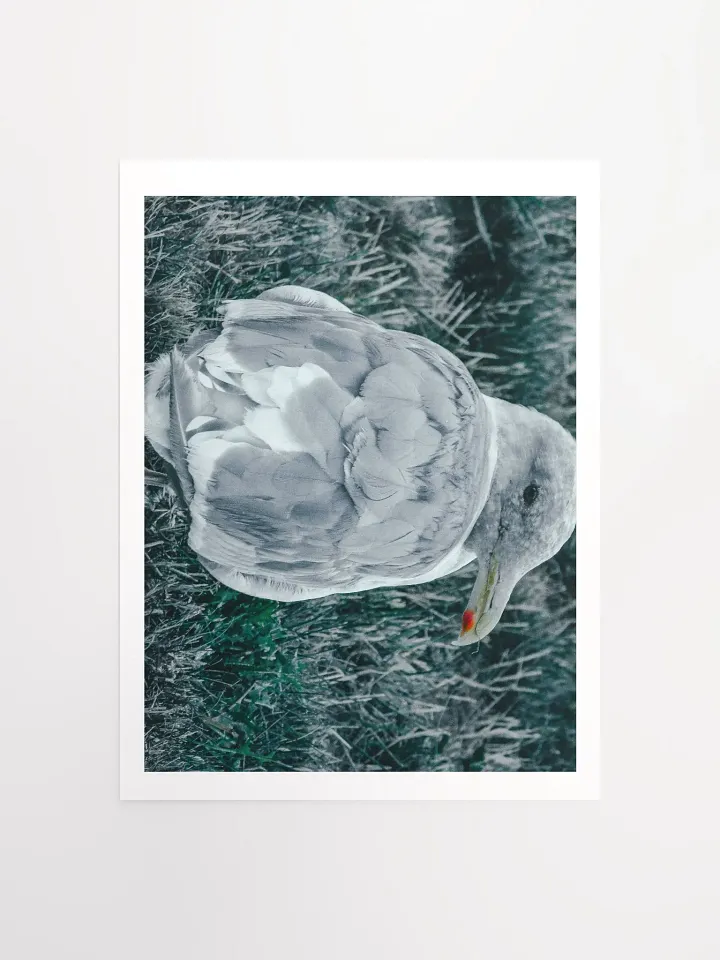 Seagull (my best buddy) product image (1)