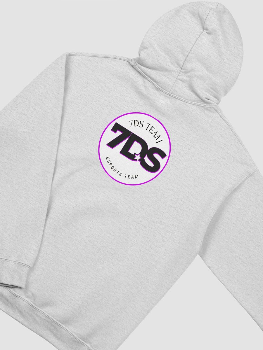 7DS Staff Hoodie product image (4)