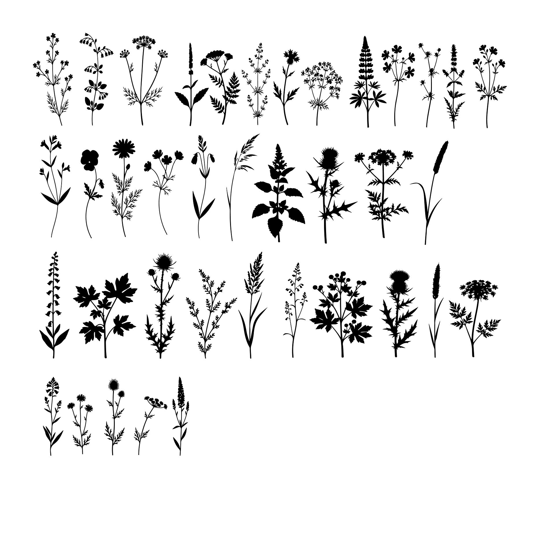 Wetland Botanical Flowers and Leaves Silhouettes product image (3)