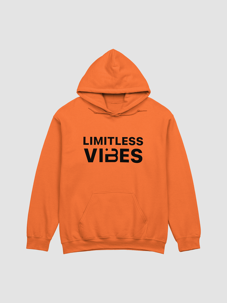 BUIII Limitless Vibes Hoodie product image (4)