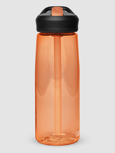 Photo showing  CamelBak Eddy®+  Sports Water Bottle