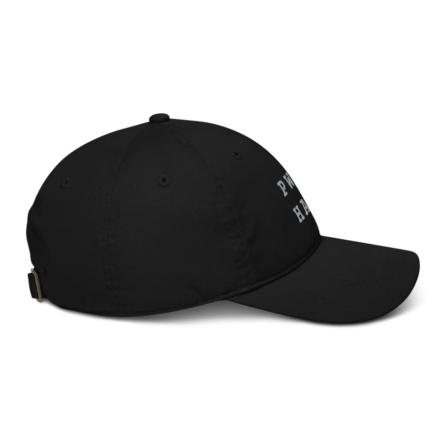 BED HEAD in steno - Organic Cotton Dad Cap (Gray) product image (5)