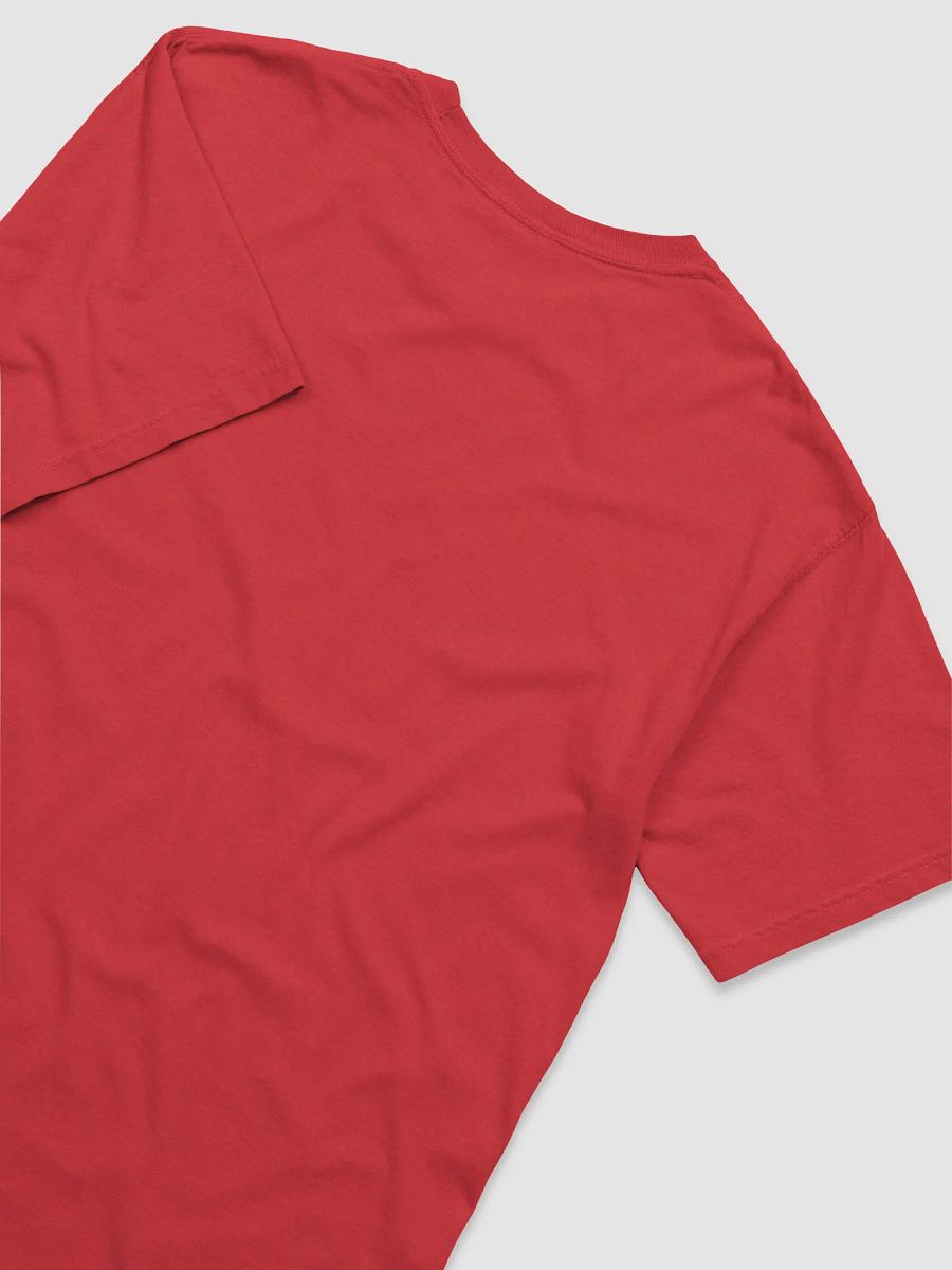 Not Friendly T-Shirt product image (4)