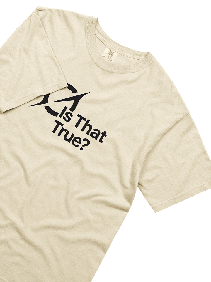 "Is That True?" - Grok Fact-Check Unisex Tee | Grok Gift for Skeptics & Truth-Seekers AI Inside-Joke product image (2)