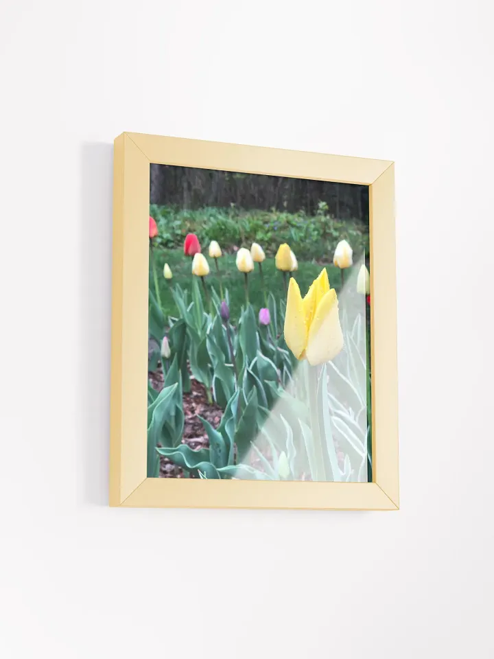 Tulips in the Rain High Quality Matte Poster product image (2)