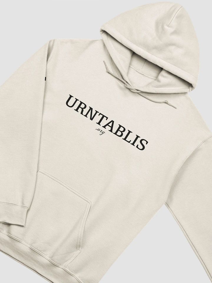 T-URNTABLIS-T .org Hoodie (Black Font) product image (2)