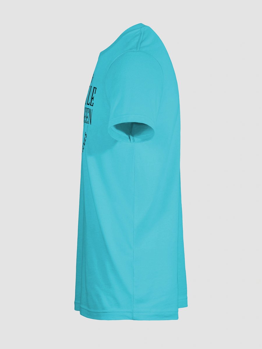 Bella+Canvas Cornhole Queen Supersoft T-Shirt product image (119)