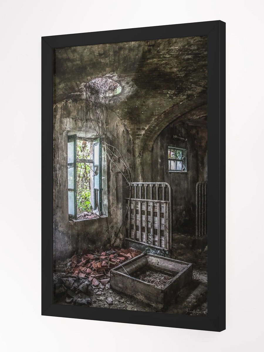 Print Prestige Fine Art - The Forgotten Stables - Italian Urbex product image (3)