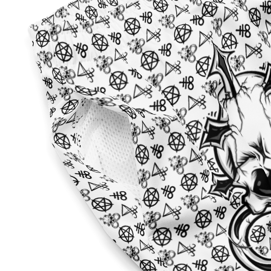 SPR Swim Trunks product image (4)