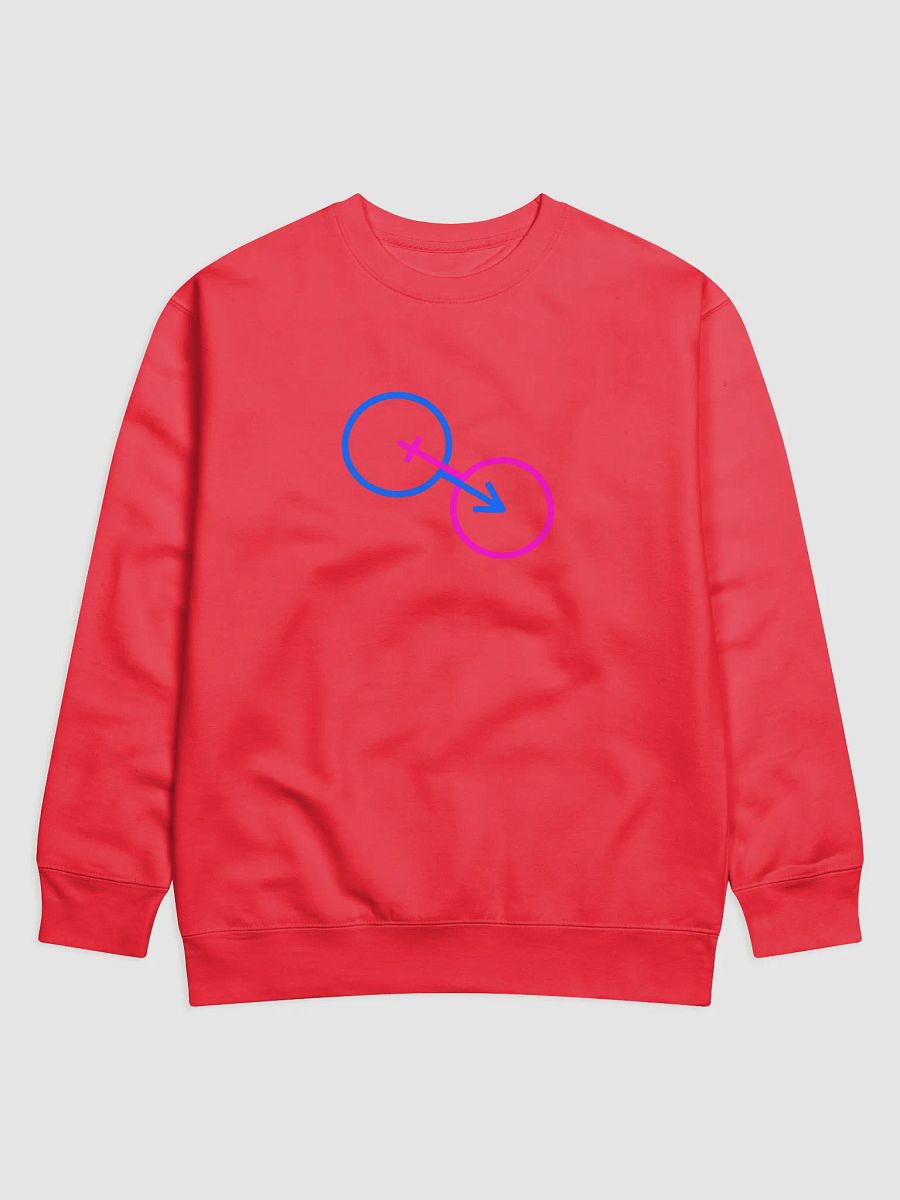Traditional Genders United Sweatshirt product image (1)