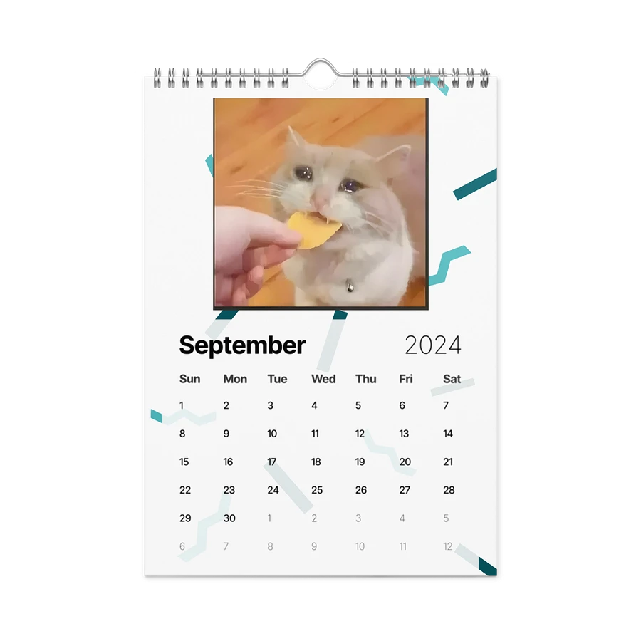 Wall Calendar (2024): Meme Cats product image (18)