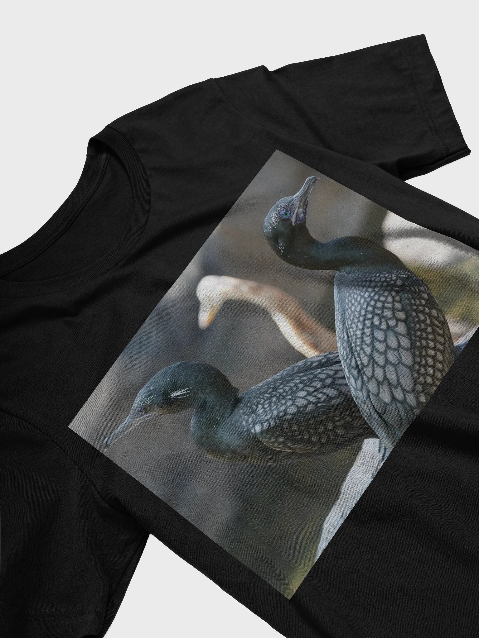 Mystic Avian Encounter T-Shirt product image (3)