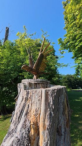 The All-Seeing Bird 
#glastonbury #vanlifediaries #vandweller #vanlife #fyp #vanlifeuk #mandsvanlife #woodart ##vanliving