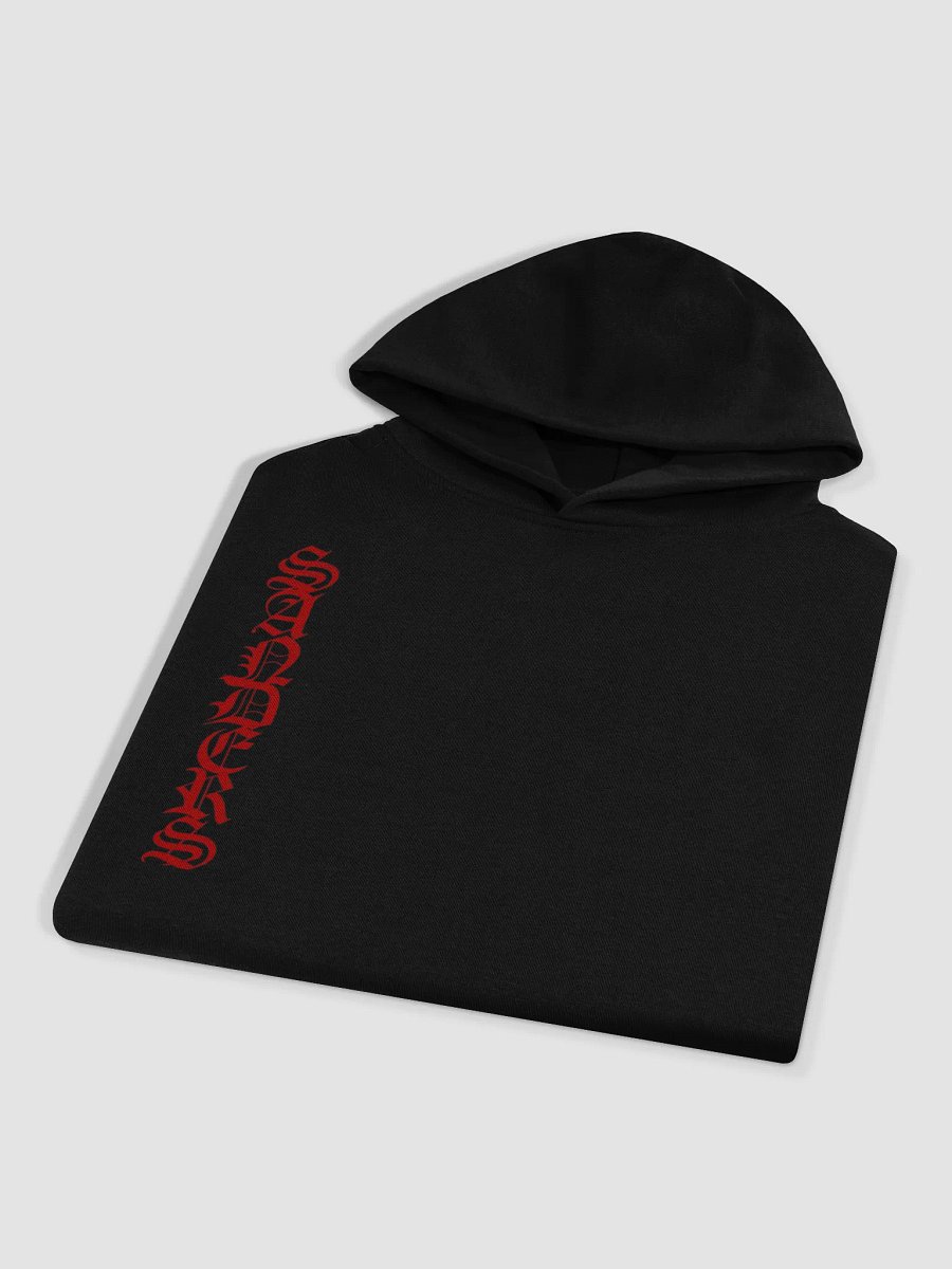 SANDERS COLE-METAL HOODIE product image (3)