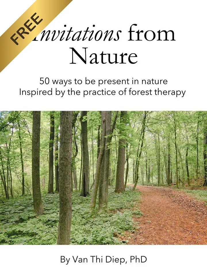 Invitations From Nature - Forest Therapy Inspired Card Deck (PDF Version) product image (1)