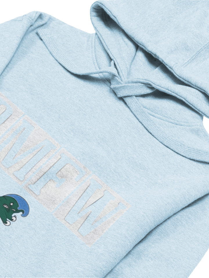 Jon Sumrall RMFW Coach Jon Sumrall Hoodie product image (2)